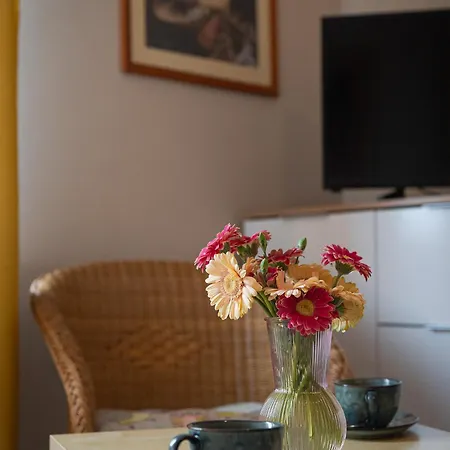 홈스테이 Goscirada