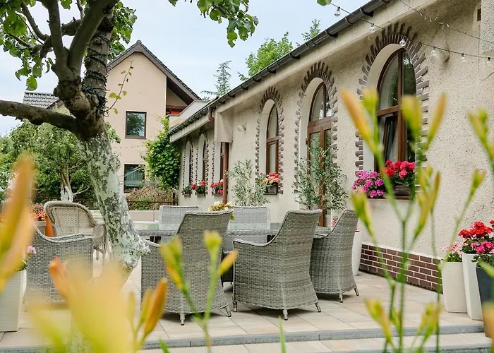 Goscirada * دارووفكو