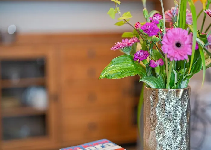 Goscirada دارووفكو